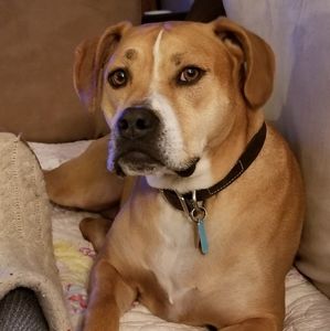 Meet your Posher, Debbie